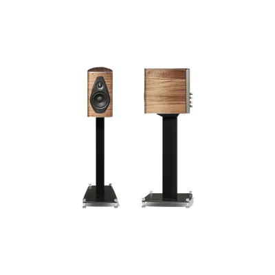 Sonus Faber Olympica Nova I Walnut Sonus Faber Olympica Nova I Walnut