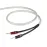 CHORD ShawlineX Speaker Cable Box 50m