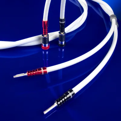 CHORD Sarum T Speaker Cable 4m Pair