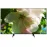 Panasonic TX-65GXR700
