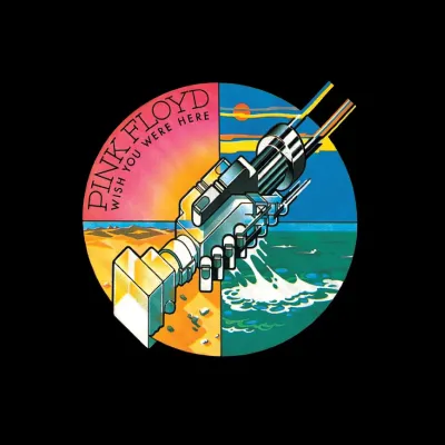 Вініловий диск Pink Floyd: Wish You Were Here Вініловий диск Pink Floyd: Wish You Were Here
