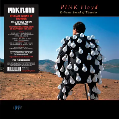 Вініловий диск Pink Floyd: Delicate Sound Of Thunder /2LP Вініловий диск Pink Floyd: Delicate Sound Of Thunder /2LP