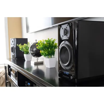 SVS Prime Wireless Pro Speaker Piano Gloss Black SVS Prime Wireless Pro Speaker Piano Gloss Black