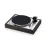 Pro-Ject The Classic Evo 2M Silver Eucalyptus