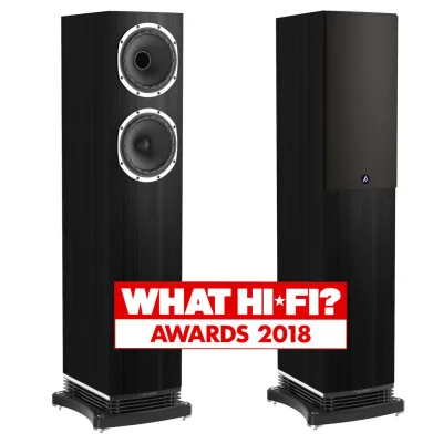 Fyne Audio F501 Black Oak Fyne Audio F501 Black Oak