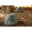 Klipsch All Weather PRO-500-T RK Granite