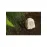 Klipsch All Weather PRO-500-T RK Sandstone