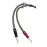 CHORD EpicXL Speaker Cable ban-ban Pair 5m