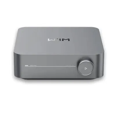 WiiM Amp Space Gray