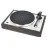 Pro-Ject The Classic 2M-Silver Eucalyptus
