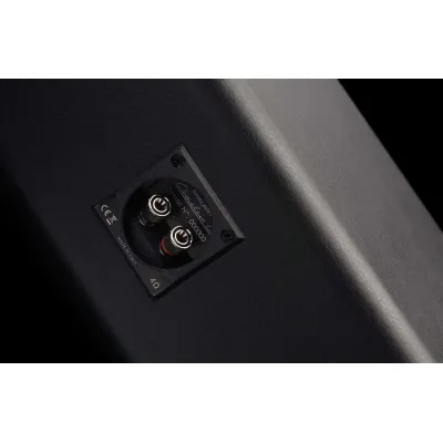 Sonus Faber Chameleon C CENTER