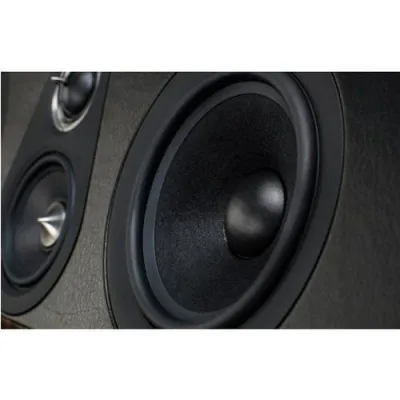 Sonus Faber Olympica center graphite