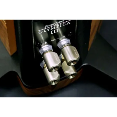Sonus Faber Olympica III wood Sonus Faber Olympica III wood