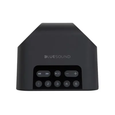 Bluesound PULSE FLEX 2i Wireless Streaming Speaker Black Bluesound PULSE FLEX 2i Wireless Streaming Speaker Black