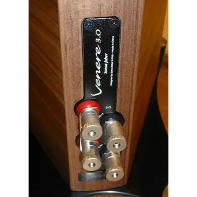 Sonus Faber Venere 3.0 wood