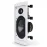 Tannoy IW Series iw6 DS