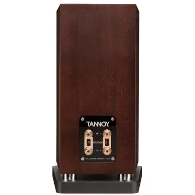 Tannoy REVOLUTION XT 6 DARK WALNUT
