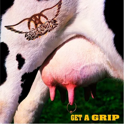 Вініловий диск Aerosmith: Get A Grip /2LP Вініловий диск Aerosmith: Get A Grip /2LP