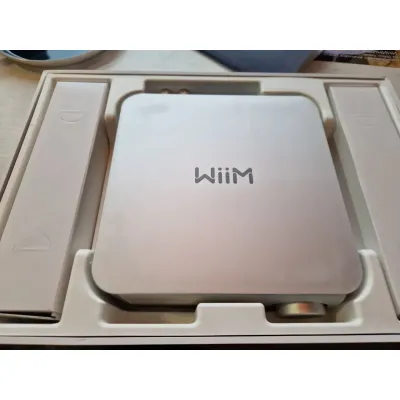 WiiM Amp Silver
