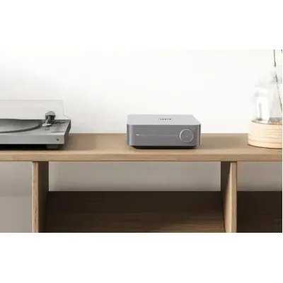 WiiM Amp Silver WiiM Amp Silver