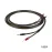 CHORD EpicX Speaker Cable Box 50m