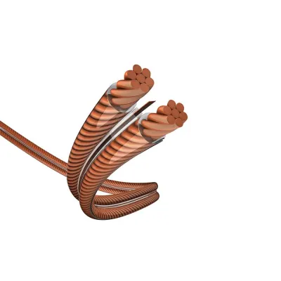 Inakustik Exzellenz LS-Kabel MSR 2 x 2,5 mm² trans 100m Inakustik Exzellenz LS-Kabel MSR 2 x 2,5 mm² trans 100m