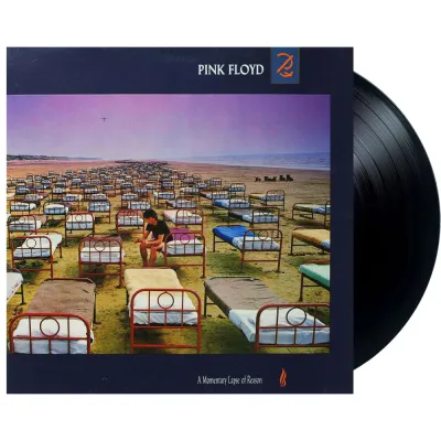 Вініловий диск Pink Floyd: A Momentary Lapse of Reason Вініловий диск Pink Floyd: A Momentary Lapse of Reason