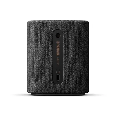 Yamaha WS-X1A Carbon Gray