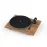 Pro-Ject T1 EVO Phono OM10 Walnut