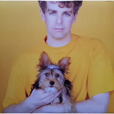 Вініловий диск Pet Shop Boys: Introspective (2018)