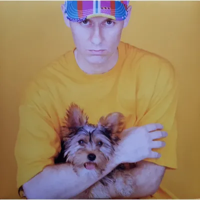Вініловий диск Pet Shop Boys: Introspective (2018) Вініловий диск Pet Shop Boys: Introspective (2018)