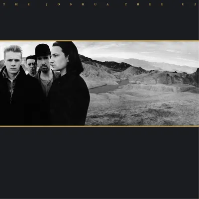 Вініловий диск U2: Joshua Tree -Annivers /2LP