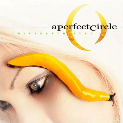 Вініловий диск A Perfect Circle: Thirteenth Step -Hq 2LP(180g) Вініловий диск A Perfect Circle: Thirteenth Step -Hq 2LP(180g)