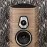 Sonus Faber Sonetto V Walnut