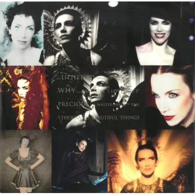 Вініловий диск Annie Lennox: Annie Lennox Collection /2LP