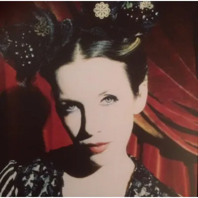 Вініловий диск Annie Lennox: Diva