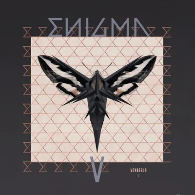 Вініловий диск Enigma: Voyageur-Hq/Reissue Вініловий диск Enigma: Voyageur-Hq/Reissue
