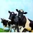Вініловий диск Pink Floyd: Atom Heart Mother -Hq