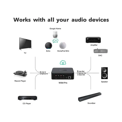 WiiM Pro 2.4G+ 5G version Airplay2 WiiM Pro 2.4G+ 5G version Airplay2