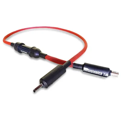 Audiomica Carnelian Reference (1,5m/USB)