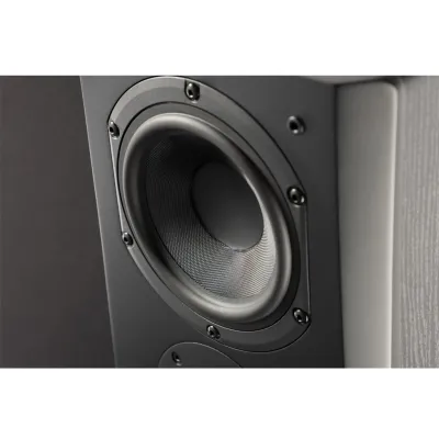 SVS Prime Pinnacle Black Ash