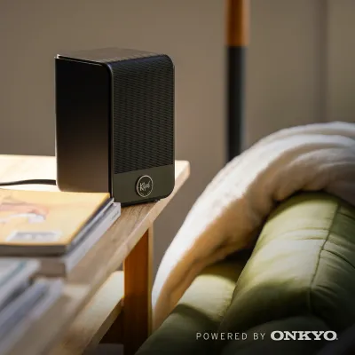 Klipsch Flexus SUR 100