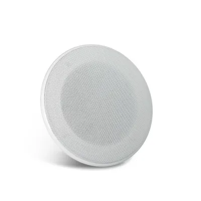 Work IC 880 Т Celling Speaker