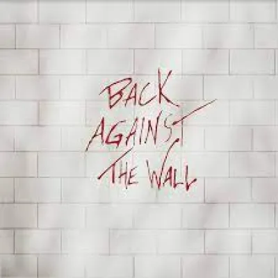 Вініловий диск Pink Floyd: Back Against the Wall -Coloured /2LP