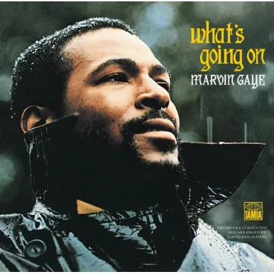 Вініловий диск Marvin Gaye: What's Going On -Hq Вініловий диск Marvin Gaye: What's Going On -Hq