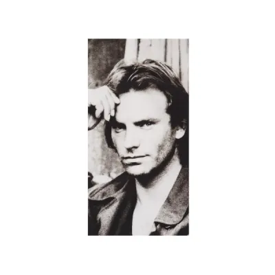 Вініловий диск Sting: Nothing Like The Sun /2LP Вініловий диск Sting: Nothing Like The Sun /2LP