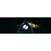 Pro-Ject Art The Dark Side of the Moon Pick It PRO SE