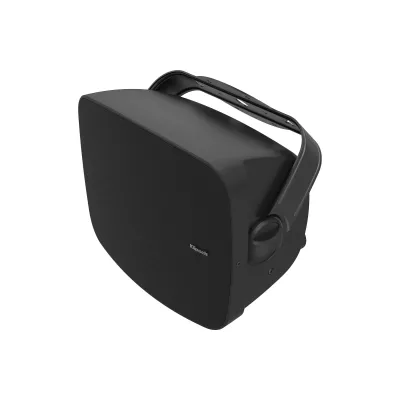 Klipsch All Weather RSM-525 Black Klipsch All Weather RSM-525 Black