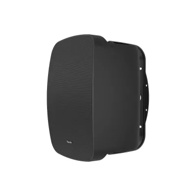 Klipsch All Weather RSM-650 Black