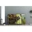 Panasonic TX-49HXR900
